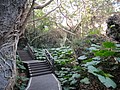 DSC02964.JPG