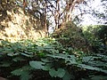 DSC02965.JPG