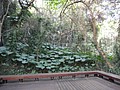 DSC02970.JPG