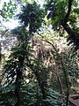 DSC02984.JPG