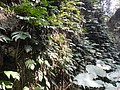 DSC02987.JPG