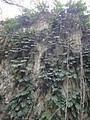 DSC02988.JPG