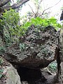 DSC02990.JPG
