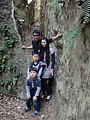 DSC03001.JPG