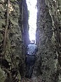 DSC03009.JPG