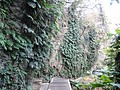 DSC03010.JPG