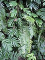 DSC03012.JPG