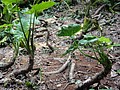 DSC03013.JPG