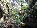 DSC03016.JPG