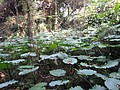 DSC03017.JPG