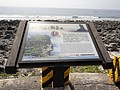 DSC03021.JPG