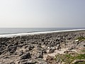 DSC03023.JPG