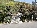 DSC03028.JPG