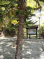 DSC03030.JPG