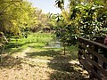DSC03031.JPG
