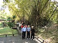 DSC03033.JPG