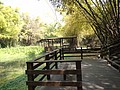 DSC03034.JPG