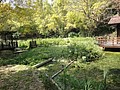 DSC03035.JPG