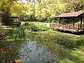 DSC03038.JPG