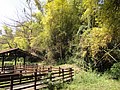 DSC03039.JPG