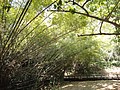 DSC03040.JPG