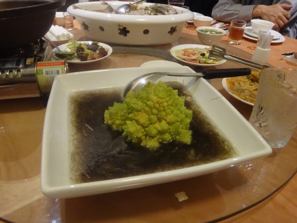 DSC09513.JPG