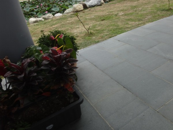 DSC09620.JPG
