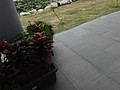 DSC09620.JPG