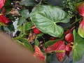 DSC09623.JPG
