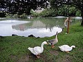 DSC03157.JPG