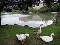 DSC03158.JPG