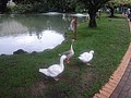 DSC09732.JPG