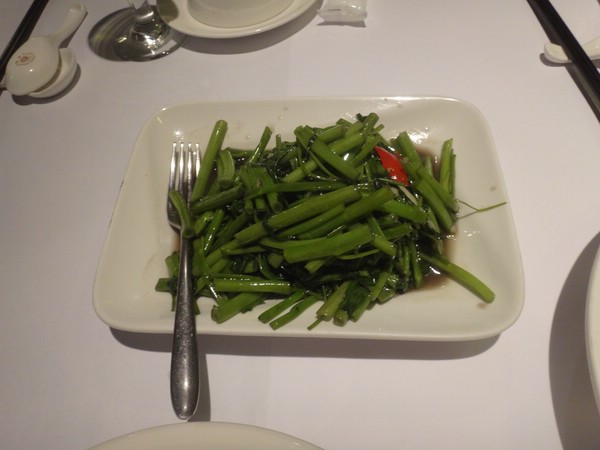 DSC00102.JPG