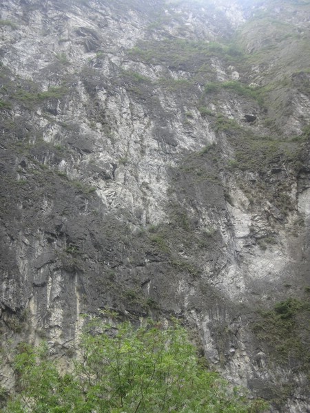 DSC00410.JPG