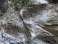 DSC00384.JPG