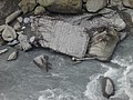 DSC00388.JPG