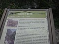 DSC00409.JPG