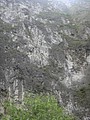 DSC00410.JPG