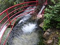 DSC00418.JPG