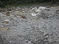 DSC00426.JPG