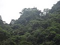 DSC00428.JPG