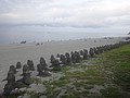 DSC00437.JPG