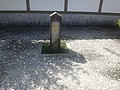 DSC00465.JPG