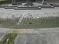 DSC00474.JPG