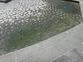 DSC00475.JPG
