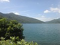 DSC00479.JPG