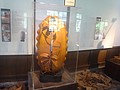 DSC00491.JPG