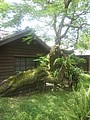 DSC00496.JPG