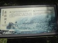 DSC00498.JPG