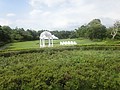 DSC00561.JPG